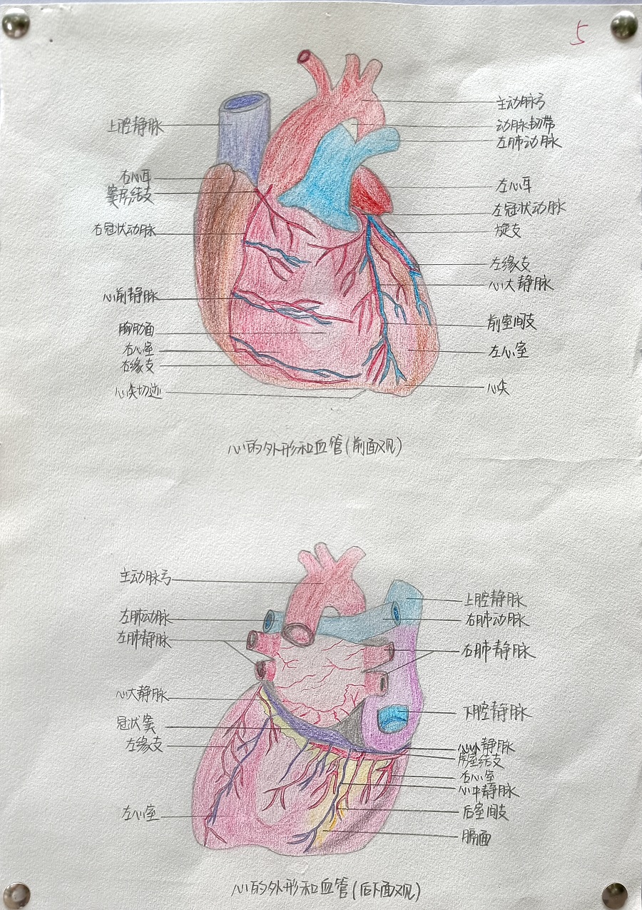 304.cam永利集团